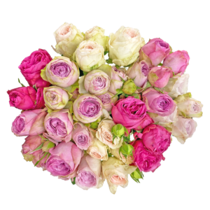 Qualirosa_bouquet_deluxe_special_garden